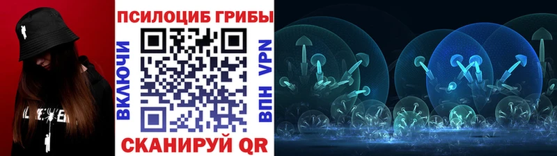 Галлюциногенные грибы Psilocybe  кракен онион  Красавино 